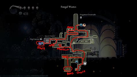 A beginner's guide to the Fungal Wastes .